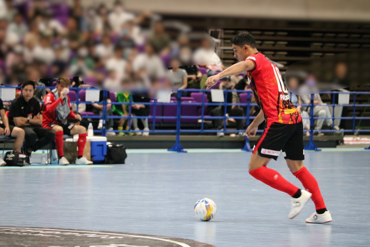 misyuwak's tweet photo. #ボルクバレット北九州
#Pacato https://t.co/9szsHsx6io