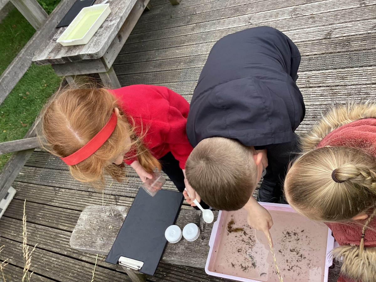 Albany Infant and Nursery School (@albanyinf) on Twitter photo Oak class have had a lovely morning at the allotment. They got to experience pond dipping, mini beast hunting and even took part in a scavenger hunt. A huge thank you to <a href="/DigInStapleford/">Dig In Community Allotment</a> for hosting. Oak class have had a lovely morning at the allotment. They got to experience pond dipping, mini beast hunting and even took part in a scavenger hunt. A huge thank you to <a href="/DigInStapleford/">Dig In Community Allotment</a> for hosting.
