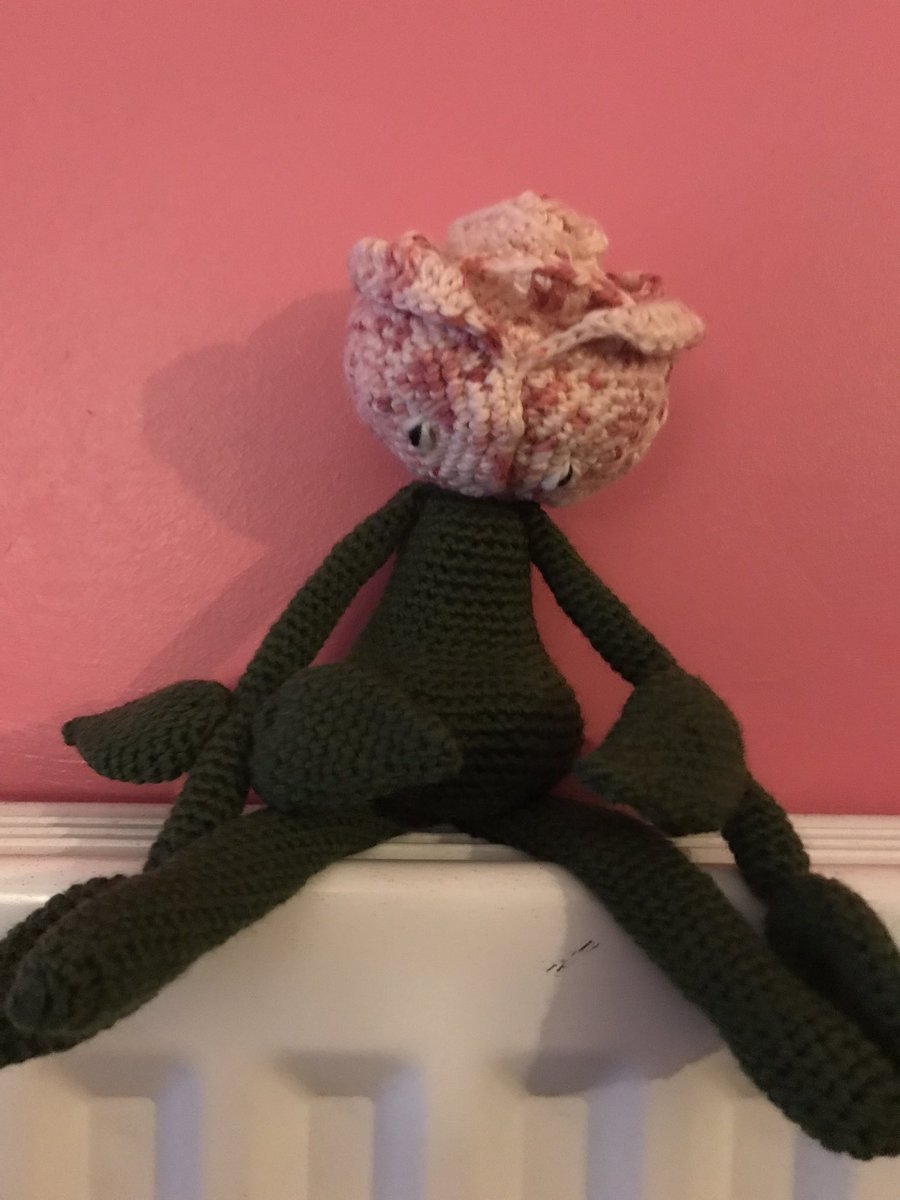 Helen Osborne MBE #adulted #JoyFE #guiding tweet media