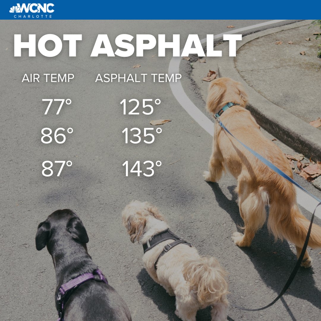 wcnc's tweet photo. This is your yearly PSA! A #heatadvisory is in effect for the Charlotte area, please take care of your pups! 

Full forecast: https://t.co/s3gmaefwxa https://t.co/3ENbvQHXv9