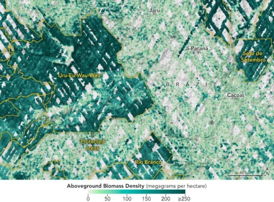 naturenscience_'s tweet photo. This map shows GEDI biomass density data in Rondônia in western Brazil overlaid with the boundaries (in yellow) of protected areas like the Uru-Eu-Wau-Wau indigenous territory. 

Biomass is much denser (dark green) within the protected area. More: https://t.co/cPSoazsl8P https://t.co/5LkKoIRJrg