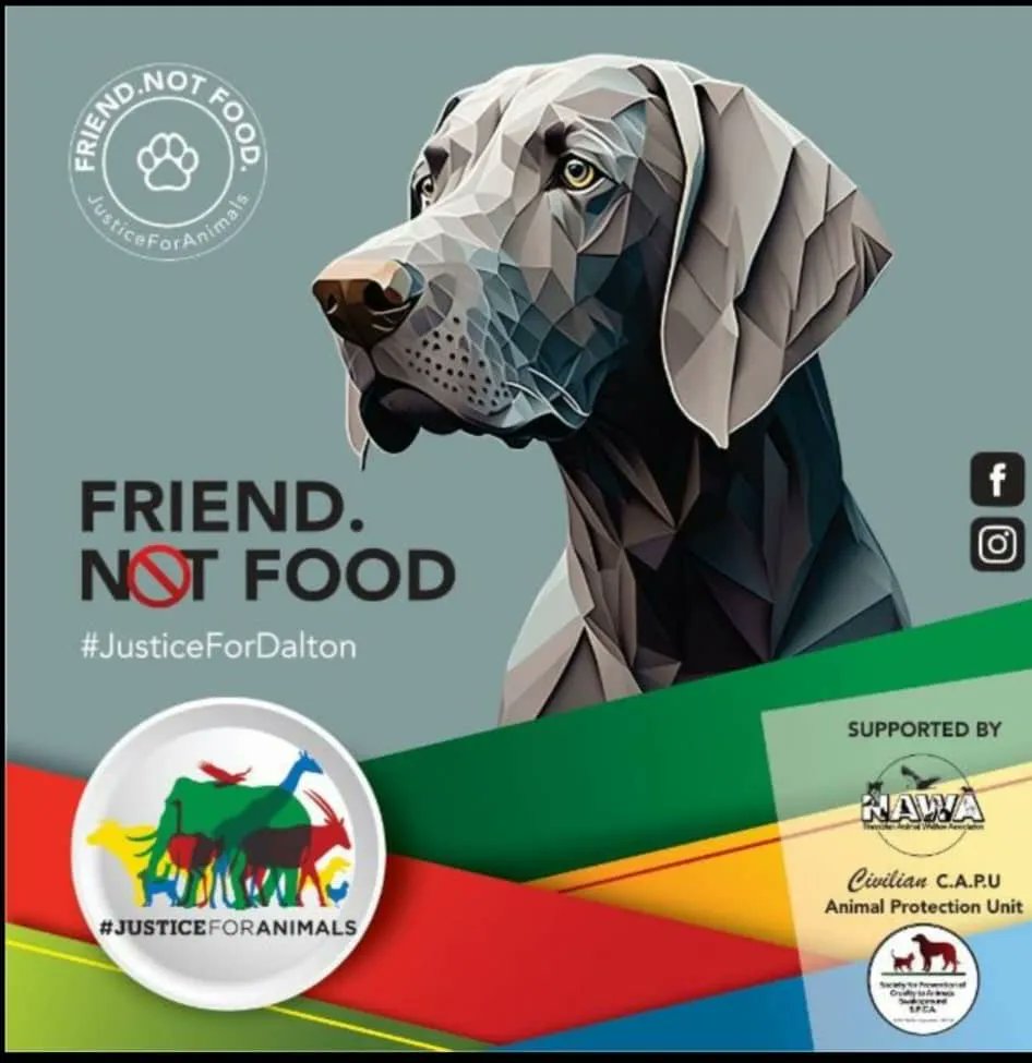 TheNamibian's tweet photo. The theft and subsequent slaughtering of a dog at Rehoboth continues to cause outrage, with a petition to end the practice of dog slaughtering having gained 4 000 signatures. https://t.co/bsM9Z5IMWx https://t.co/bTdbQYqjtn