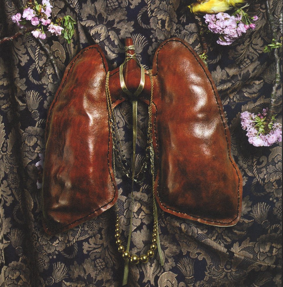 14 years since florence + the machine invented lungs? that’s crazy x