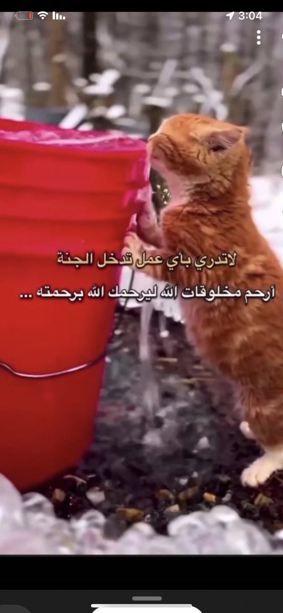 Boh_Rt's tweet photo. لا تدري بأي عمل .. تدخل الجنة . https://t.co/M8FuNdxBoL