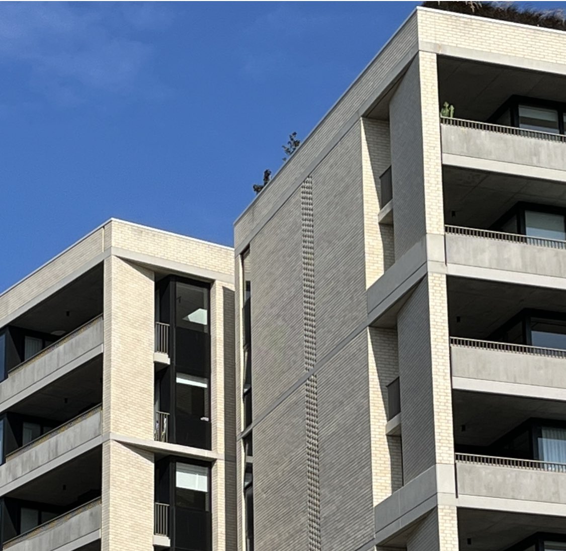 PhilipThalis's tweet photo. To streets &amp; within, excellent scale, articulation &amp; controlled palette of materials.
In an ingenious arrangement, common circulation in double height, screened &amp; landscaped balconies, augmented by large communal roof terrace.
High amenity.
Architects #chrofi &amp; #deRome https://t.co/ujfPAgCjM4