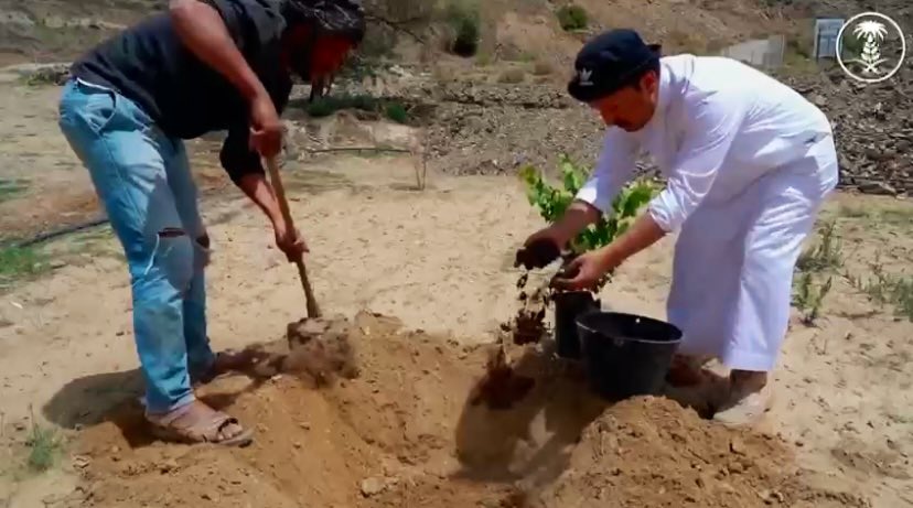 alkhamees_farms's tweet photo. نصيحه
كل شي بالامل.. الا الزراعة بالعمل 🍇 https://t.co/zTQFp1S1cp