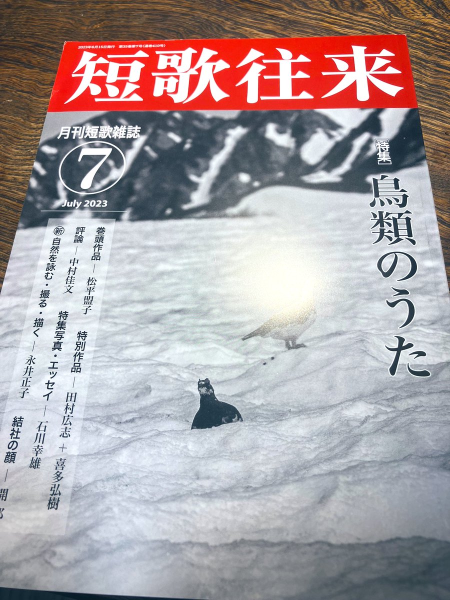 文鳥短歌が読みたくて、ながらみ書房様から短歌往来七月号を送っていただきました。愛でいっぱいな短歌と、そして夏目漱石の文鳥への論にうんうんと何度もうなづいてしまいました。