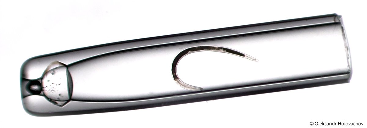 Adele Maciute tweet media