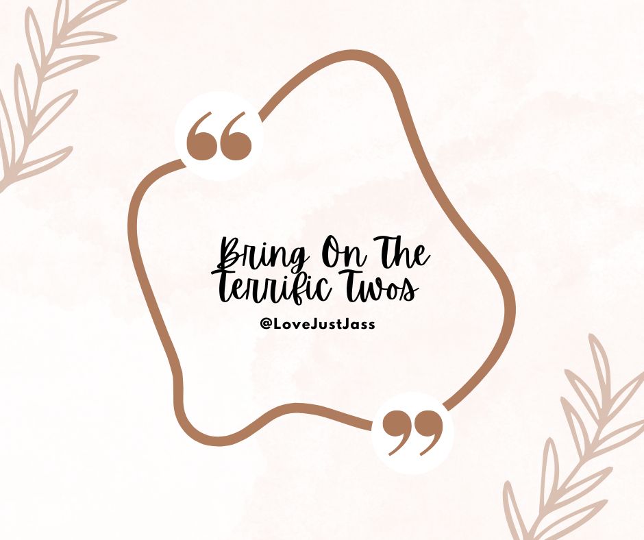 Motivational Monday! 🤎

Bring On The Terrific Twos!

Instead of dreading this stage, let's shift our mindset!

As tough as this stage is,  it can also be a fun one!

You got this friends!