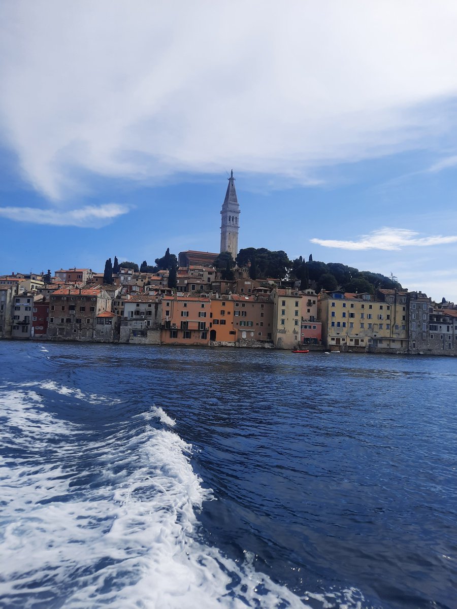 Lejla Brcic tweet media