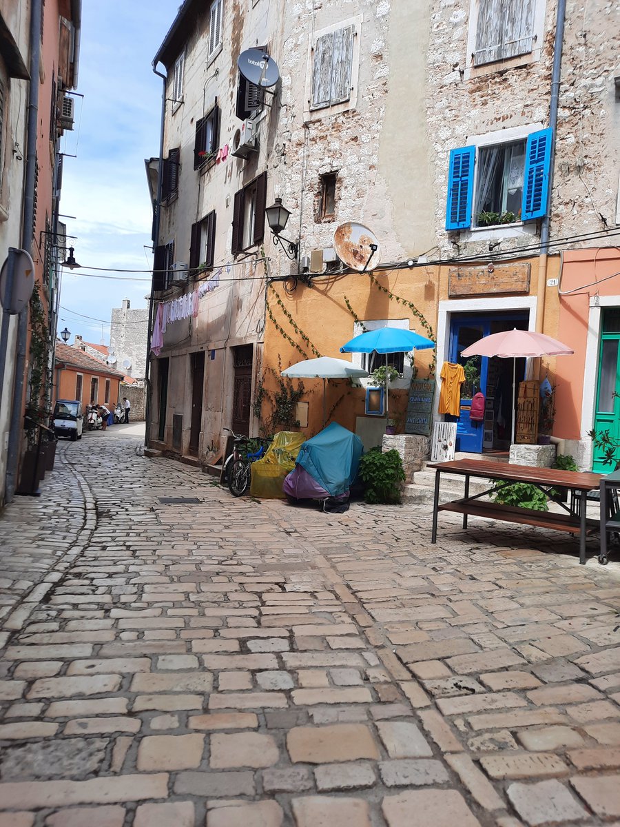 Lejla Brcic tweet media