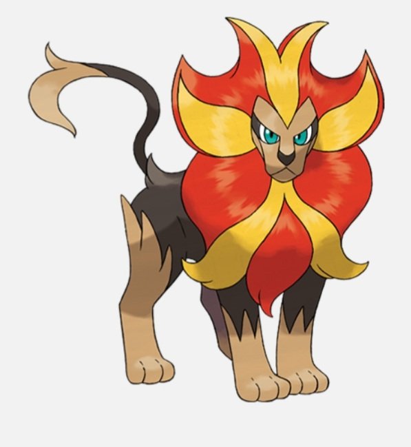 Todo Dia um Pokémon Diferente on X: 668-🇧🇷Pyroar 🇯🇵Kaenjishi Nome  Sugerido no Brasil:Pirugido Região:Kalos Tipo:🟠Fogo,⚫Normal Altura: 1.5 m  Peso: 81.5 kg  / X