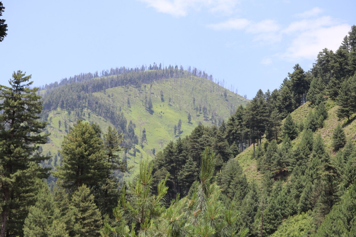 Ibihere09's tweet photo. @Ranvi_1814 I have the peace of heaven #kashmir https://t.co/kxi13WlnOE