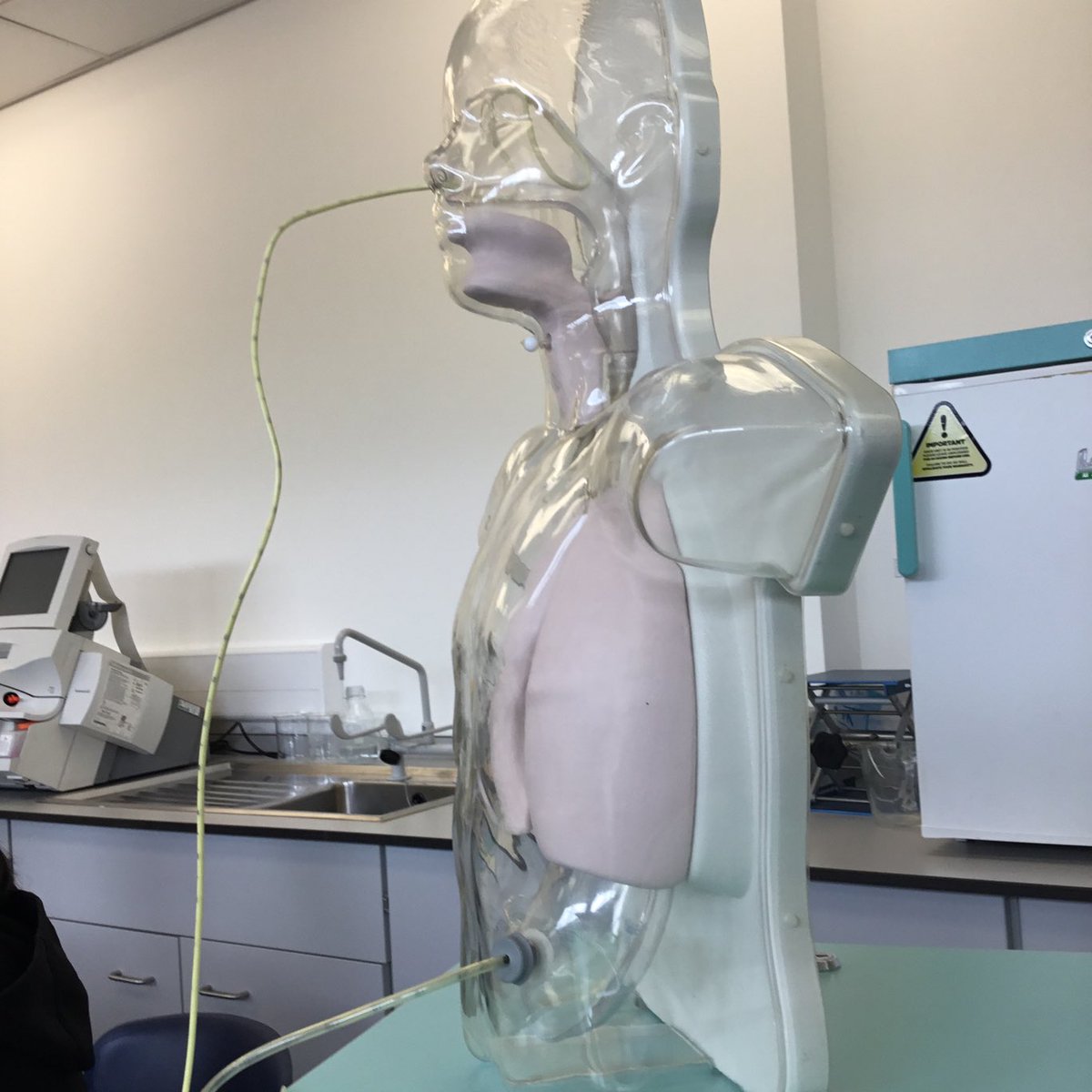 Sally Morgan (@sallymorganslt) on Twitter photo Practical session s learning together #SLT2b #Dietician to be students <a href="/SHSLondonMetUni/">School of Human Sciences at London Met Uni</a> <a href="/CityLCS/">City Language & Communication Science</a> today <a href="/londonahps/">@LondonAHPs</a> <a href="/RCSLTLearn/">RCSLTLearn</a> Practical session s learning together #SLT2b #Dietician to be students <a href="/SHSLondonMetUni/">School of Human Sciences at London Met Uni</a> <a href="/CityLCS/">City Language & Communication Science</a> today <a href="/londonahps/">@LondonAHPs</a> <a href="/RCSLTLearn/">RCSLTLearn</a>