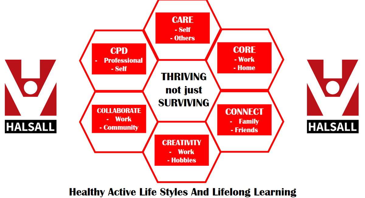 VINNY HALSALL tweet media