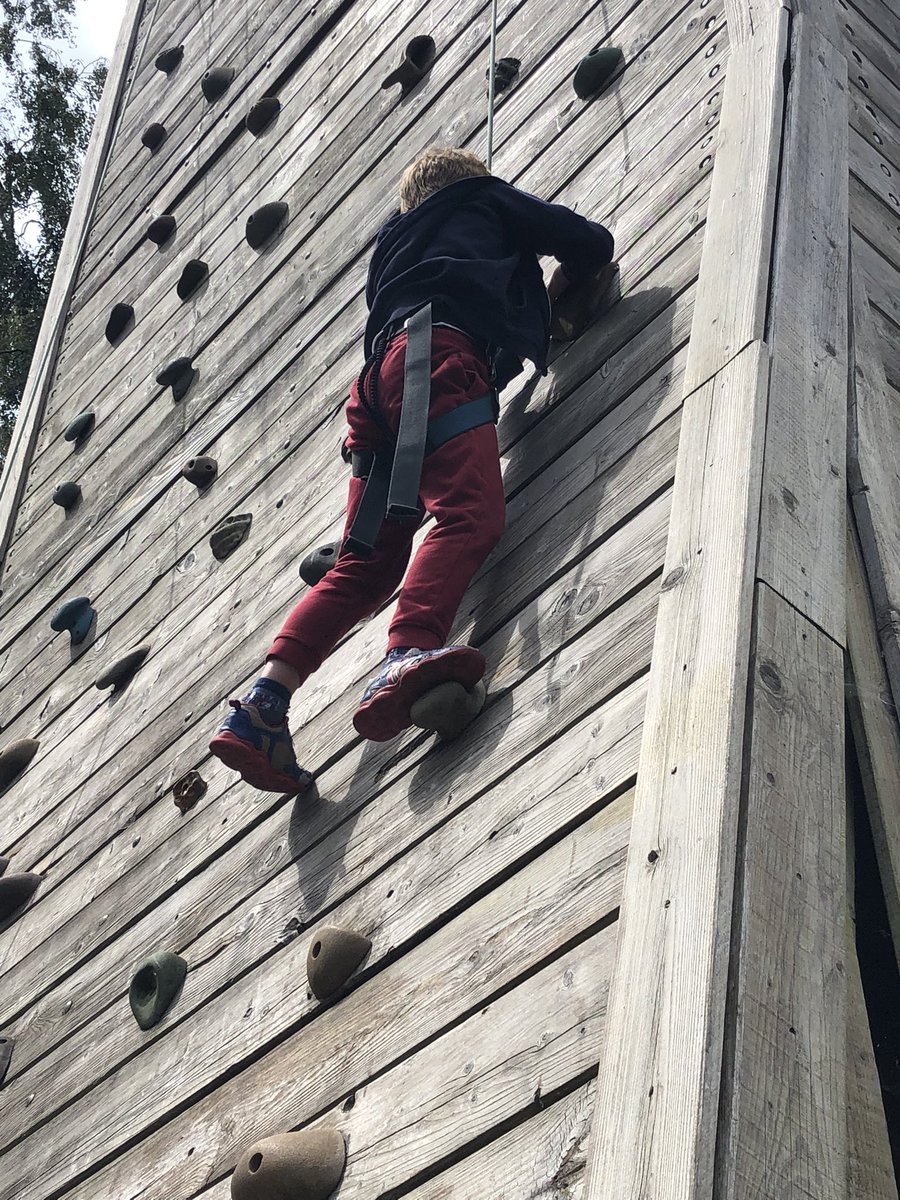 Andrew Forbes (account not in use) tweet media