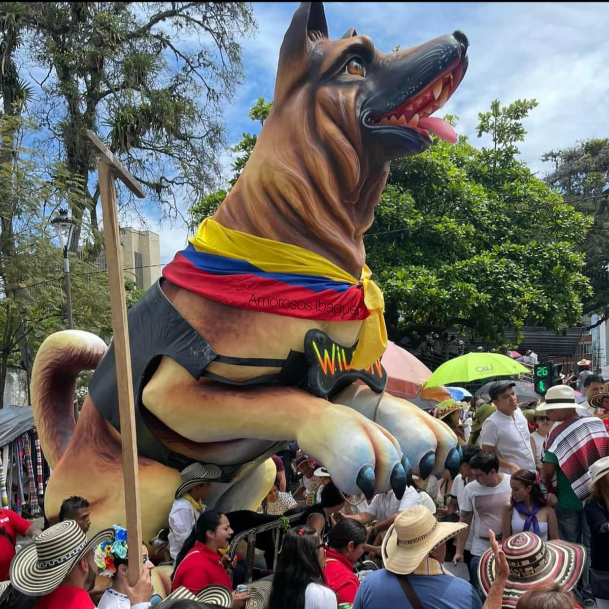 yarez4's tweet photo. Desde el Festival Folclórico Colombiano en Ibagué  Wilson estuvo presente.
Gracias a los artistas de PASTO que en menos de 3 días hicieron este hermoso homenaje 🇨🇴🥰 GRACIAS NARIÑO❤️❤️ hermosa representación. #Wilson #wilsonpresente @COL_EJERCITO @FuerzasMilCol https://t.co/Dvj0lT5Fgp