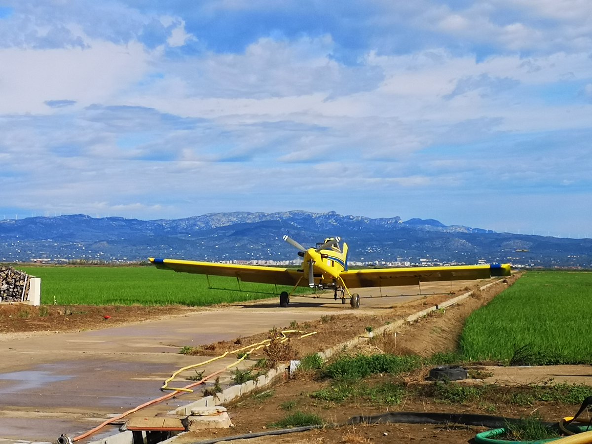 SALUBRITAT| Avui hem fet tractament aeri per combatre les larves de 🦟 mosquit de diferents espais naturals del delta de l'Ebre, en total hem actuat sobre una àrea de 4️⃣8️⃣7️⃣ hectàrees.