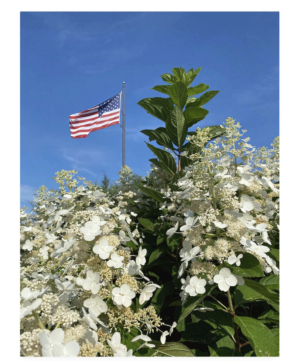 Happy 4th of July!
#4thofJulyWeekend #USA #American #patriotic #decoration #4th #Flag #buyintoart #AYearForArt @artistRTweeters #artbooster #artistcommunity #fourthofjuly  #independenceday #wallart #art #homedecor #photography #oldglory #freedom 
ART - deborah-league.pixels.com/featured/old-g…