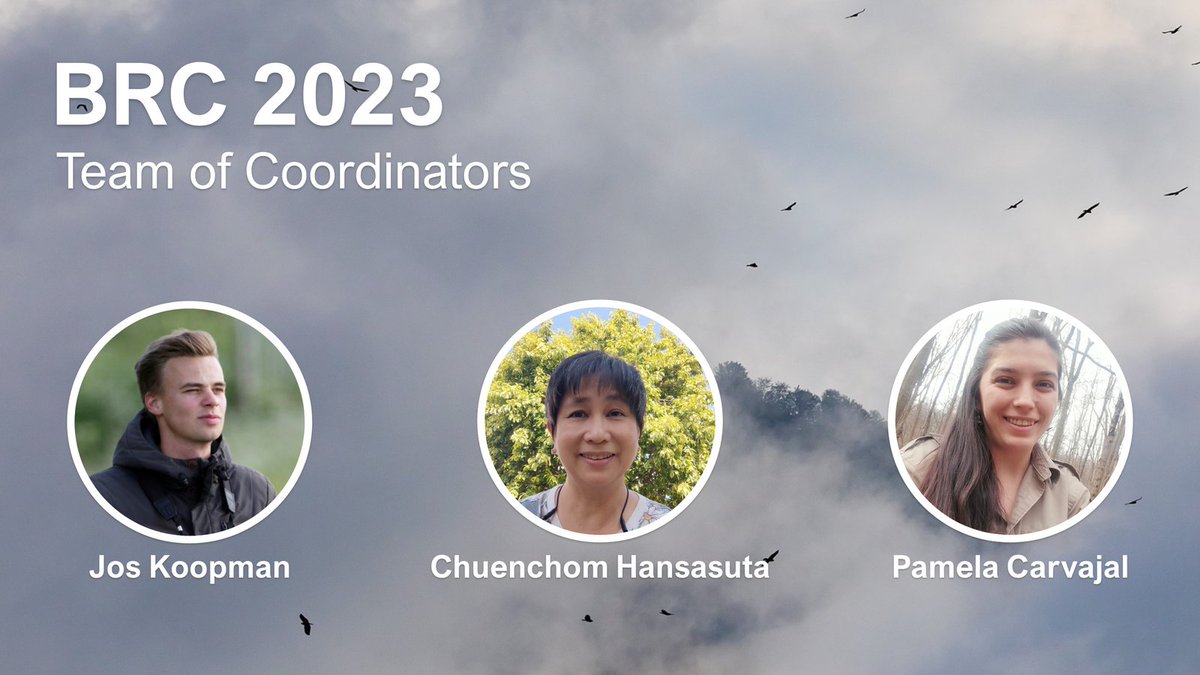 BatumiRaptors's tweet photo. In just a couple of weeks, #BRC15 will start! Good luck to our coordinating team, who will be working around the clock to ensure another fantastic season! 
There are still a few free volunteer time slots, check out our website for all details: 👉https://t.co/W5C4fKZ3Ay 👈 https://t.co/RW2hGH2XDX
