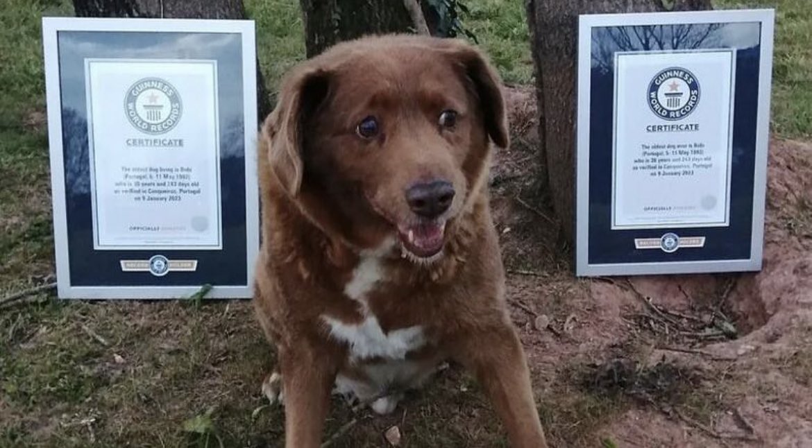 Historic Vids tweet media