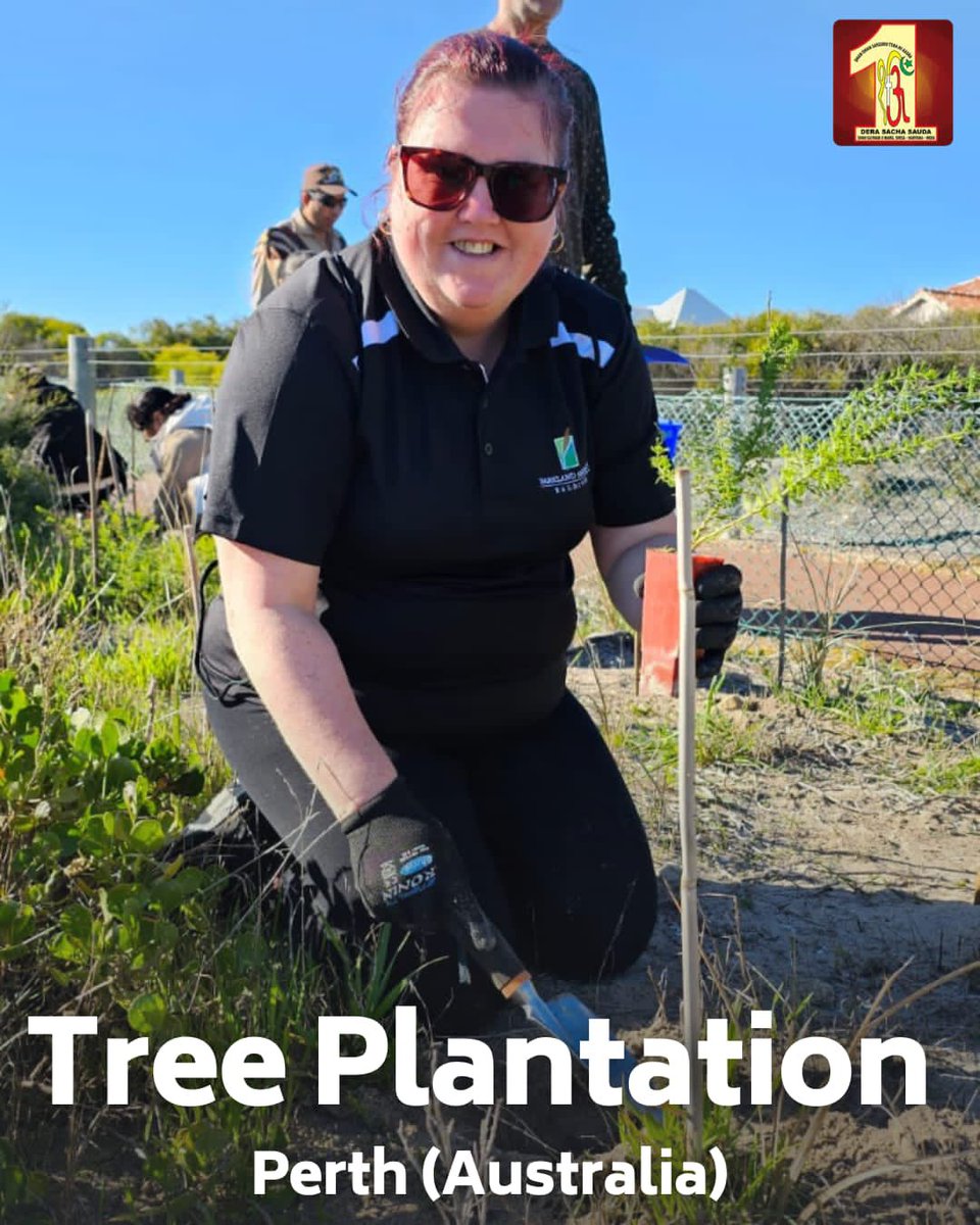 DSSNewsUpdates's tweet photo. #DeraSachaSauda volunteers in Perth, Australia come together for a massive tree plantation🌳 drive! 🙌 With their dedication and love for nature🌱, they've successfully planted 3000 trees, creating a greener and healthier environment for all. Let's continue to nurture our planet and strive for a sustainable future. #TreePlantation #Environment