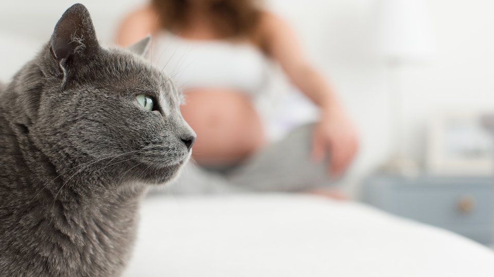 OneHealthTrust's tweet photo. This week's digest includes articles on malnutrition and drug-resistant infections, domestic cats and toxoplasmosis, the WHO's research agenda on AMR, and more.

Check out our weekly One Health research round-up here: https://t.co/pi4ukKvKwu https://t.co/UtG2QKDMIb