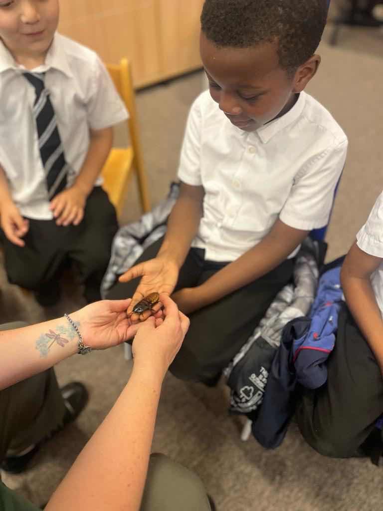 Last week <a href="/WigglyWildShow/">Cairis</a>  was at Trinity to share their minibeasts with us and our EY &amp; KS1 were loving the creepy crawlies...#LearningLovingLiving
