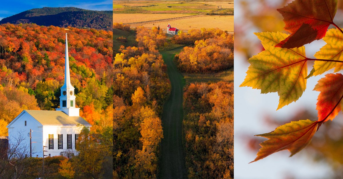 Explore the picturesque #autumn landscapes of #NewEngland and #Canada as the leaves turn from green to amber and crimson, creating a breathtaking display of #fallcolours

With availability for Autumn 2023 contact us today for ideas and #travel advice.

pettitts.co.uk/contact-us