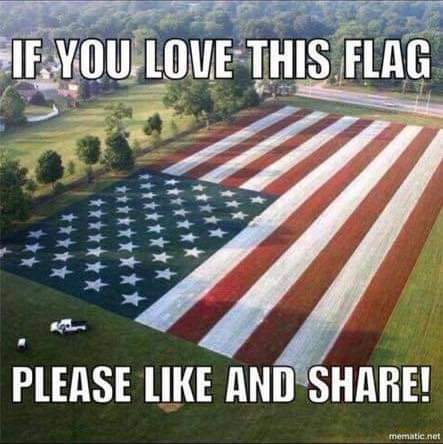 🇺🇲🇺🇲🇺🇲🇺🇲🇺🇲🇺🇲🇺🇲🇺🇲🇺🇲🇺🇲