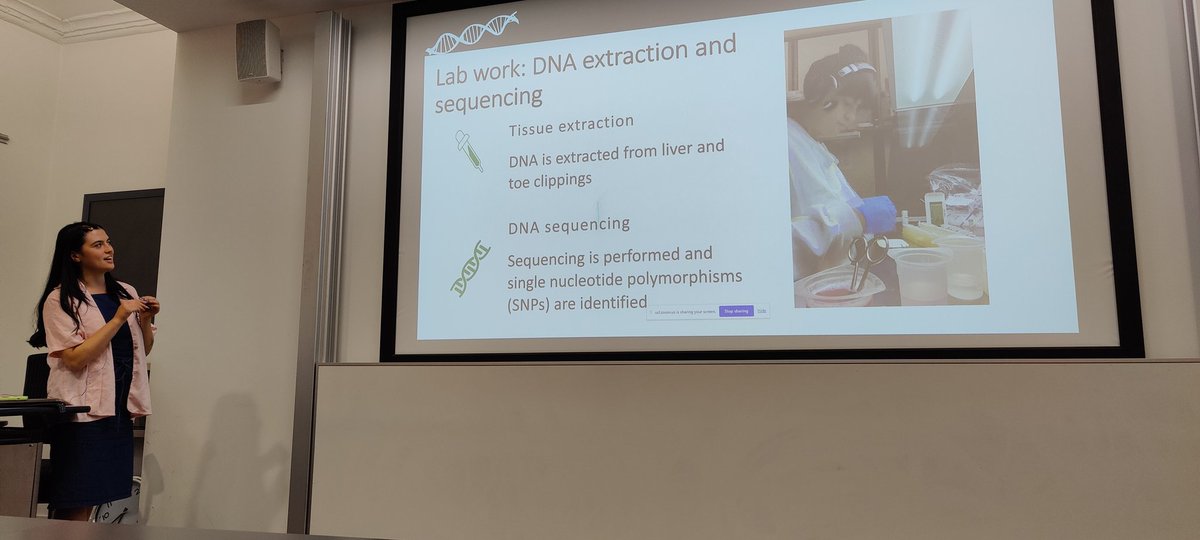 ChloeAMetcalfe's tweet photo. The @UCLCBER Seminar was expertly lead by @_RachelHester today. I thoroughly enjoyed learning about the invasion history of the Alpine Newt in the UK. Rachel's talk was both engaging and comprehensive - congratulations! https://t.co/625wraeGGR
