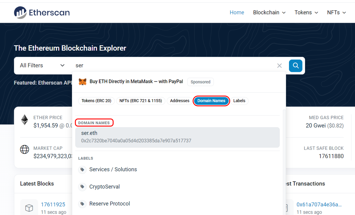 Update: Domain Names added to search bar auto-lookup 👀 Clicking on the  search result now directly takes you to the address page instead of a name  lookup page