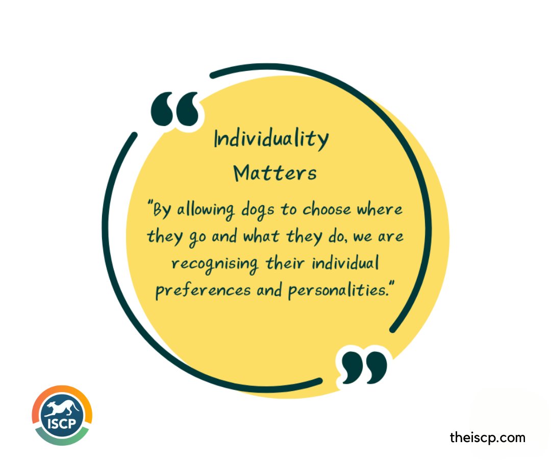 Our dogs are individual, free thinking beings.

We need to respect this rather than focussing on "control" and "obedience".

#dogbehaviourtraining #onlinedogcourses #distancelearning #dogtraining #ethicaldogtraining #dogbehaviour #rescuedog #dogrescue