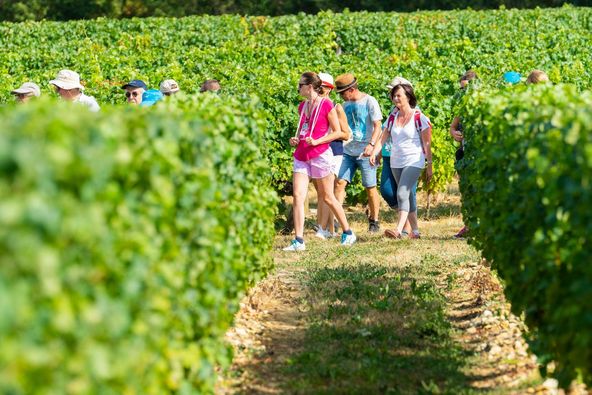 vvrvaldeloire's tweet photo. Et si vous profitiez du week-end pour vous inscrire à la prochaine édition de VVR ?! 😉
🤩 Rendez-vous les 2 & 3 septembre prochain pour fêter les 20 ans de l'événement !
✅ Quelques places sont encore disponibles sur https://t.co/V4mJzLBrlO 🍇 #vvrvaldeloire #vvr23 https://t.co/uzwJ25btox