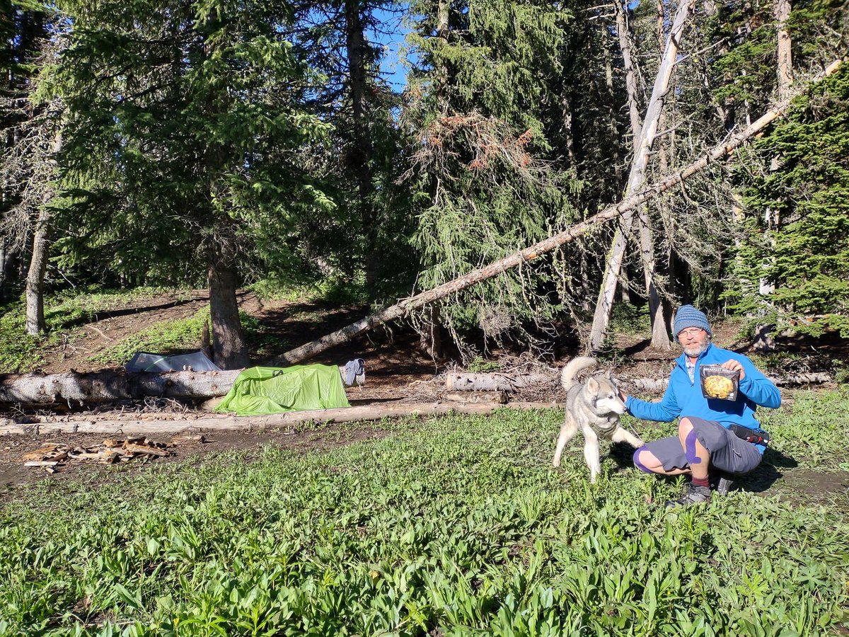 mountainmanbate's tweet image. #followyourcompass