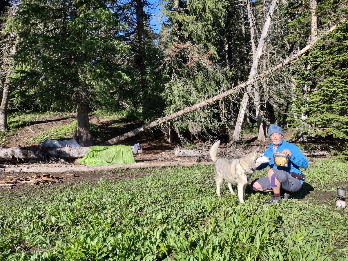 mountainmanbate's tweet image. #followyourcompass