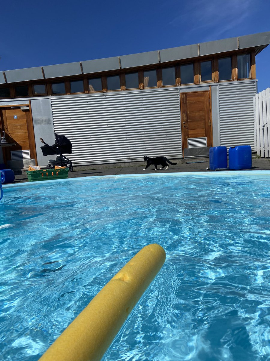 Heimsins besti Brauð elti okkur í sund á Flateyri!
(Og já auðvitað tókum við Brauð með í sumarfríið 😹😻