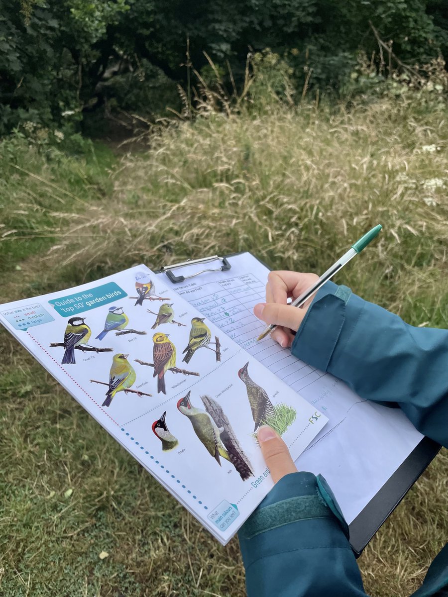 CentreBraunton's tweet photo. This morning's bird recording walk gave us lots of species to see despite the rain. For example, a dipper, a blackcap, several wrens and so many ducks!
We also saw meadow brown and speckled wood butterflies, damselflies, red soldier beetles and pond skaters.
#connect2nature https://t.co/xVVLfQTnYe
