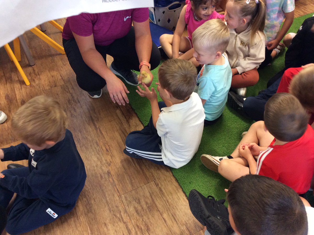 TPAF2LB's tweet photo. We came into a lovely surprise this morning 🐥🦆😍 #@TPAF2EL @DeltaTheParks #TPAF2Science #TPAScience https://t.co/xnIuBWTKt4
