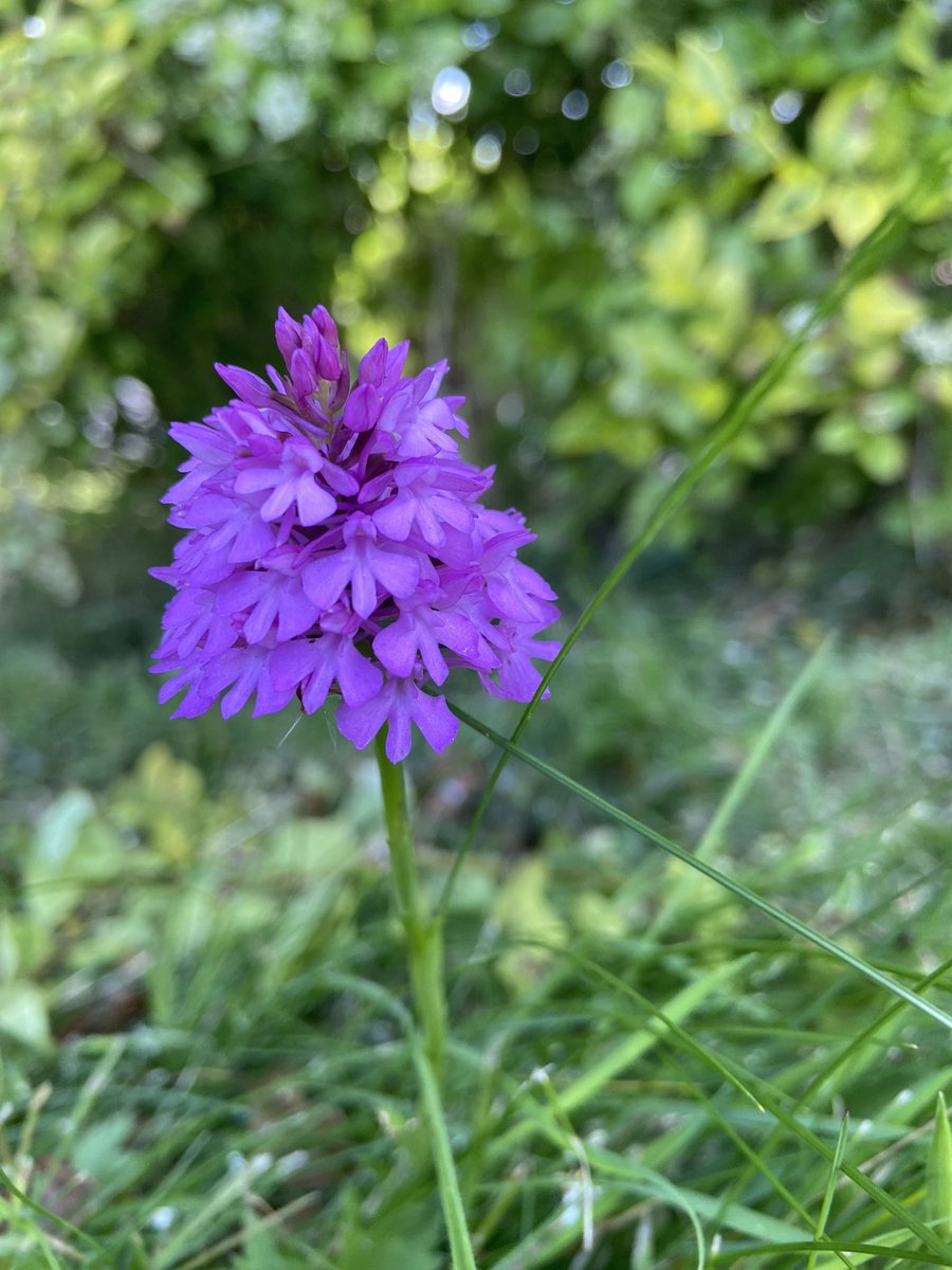 Gerard Hensey tweet media