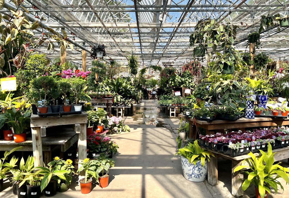 One Delightful Life (@onedelightfull) on Twitter photo Start the day with a lavender latté and a warm cheddar scone amongst the beautiful flowers at Cafe Equinox in <a href="/CityofShawneeKS/">City of Shawnee, KS</a>. Free guest Wi-Fi and lots of good day vibes – a plant lovers’ dream.
Enjoy breakfast on the patio and then shop at Family Tree Nursery. #allinshawnee Start the day with a lavender latté and a warm cheddar scone amongst the beautiful flowers at Cafe Equinox in <a href="/CityofShawneeKS/">City of Shawnee, KS</a>. Free guest Wi-Fi and lots of good day vibes – a plant lovers’ dream.
Enjoy breakfast on the patio and then shop at Family Tree Nursery. #allinshawnee