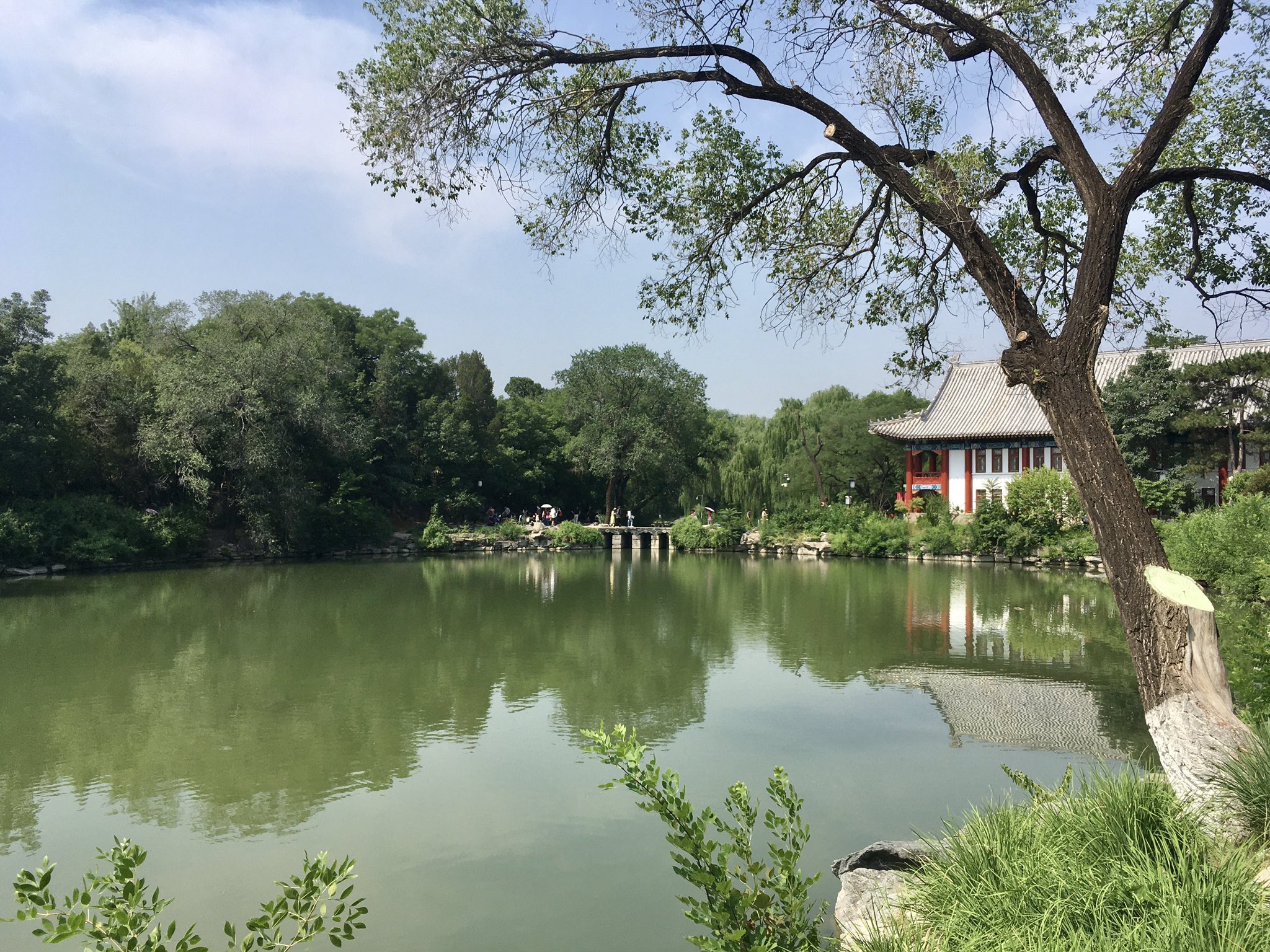 Neysun Mahboubi on Twitter "Two views, separated by some 30 hours