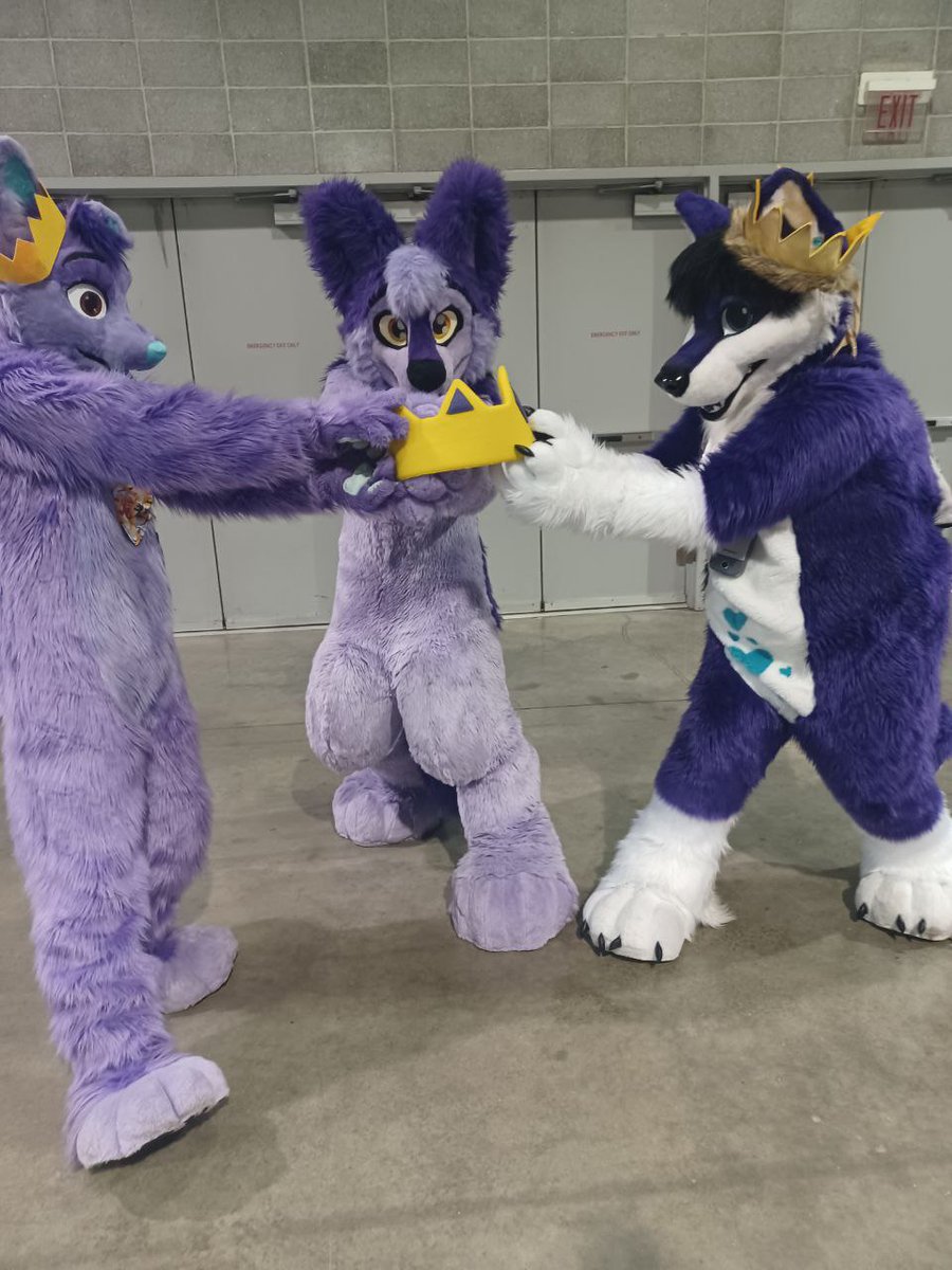 LaVi_Wolf's tweet photo. The kings were fighting over the crown!
#anthrocon2023 #maketheworldpurple 
@KingerRiteski 
@KingCollie_ https://t.co/Olc3xdYdT2