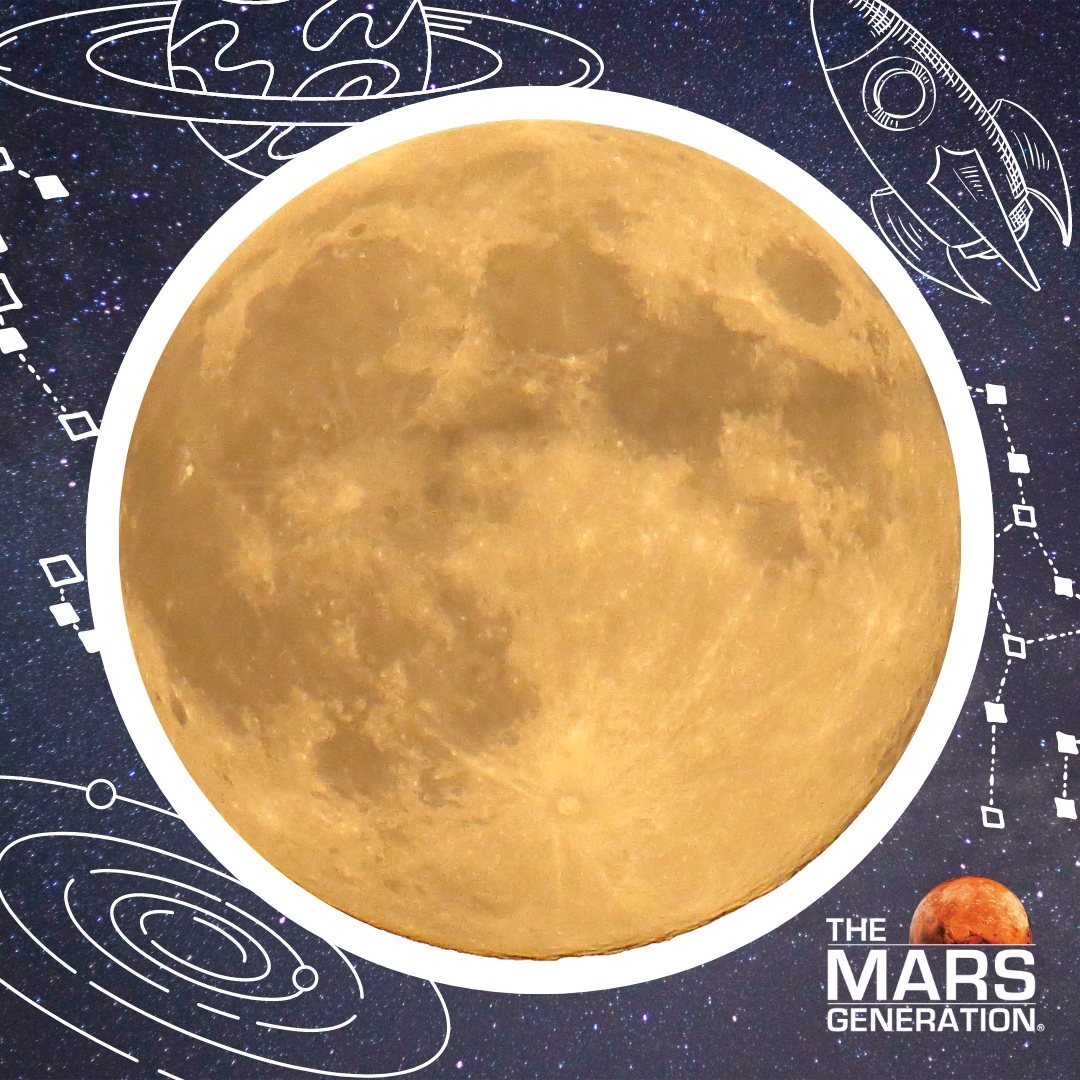 TheMarsGen's tweet photo. Did you know this about the Moon?
The temperatures here on Earth can feel extreme to us, but on the moon, the temperature can get as burning hot as 127°C (260°F) 🥵or as freezing cold as -153°C (-243°F) 🥶
#MoonFact #MoonFactMonday #FunFact #Space https://t.co/OTkjxZbAmz