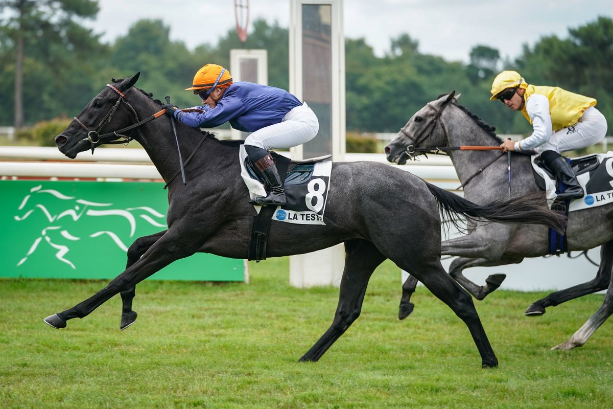 MARSELAN (Earnshaw) gagne dès ses débuts à @HippoLaTeste lors du Prix Agri 33 (Maiden). Il est entrainé par @ecuriebrogi, et était associé à @AMekouche. @InfoArqana 📸@ScoopDyga