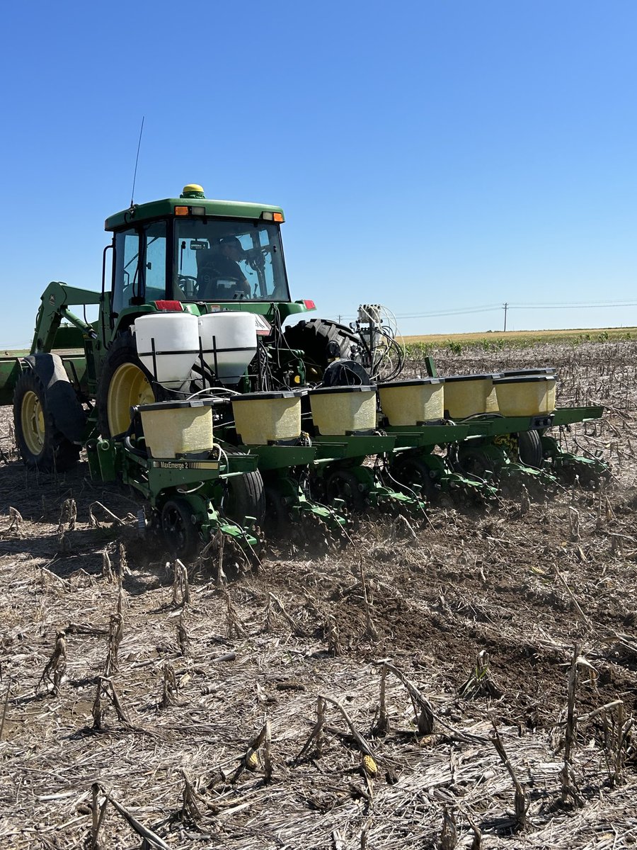 FVCJeffW's tweet photo. More testing. How fast will corn emerge in wet, warm conditions? Not actually the test. Testing some products to see which one has better P levels in the plant โฆ@FVCoopโฉ https://t.co/5YSXQl3rqI