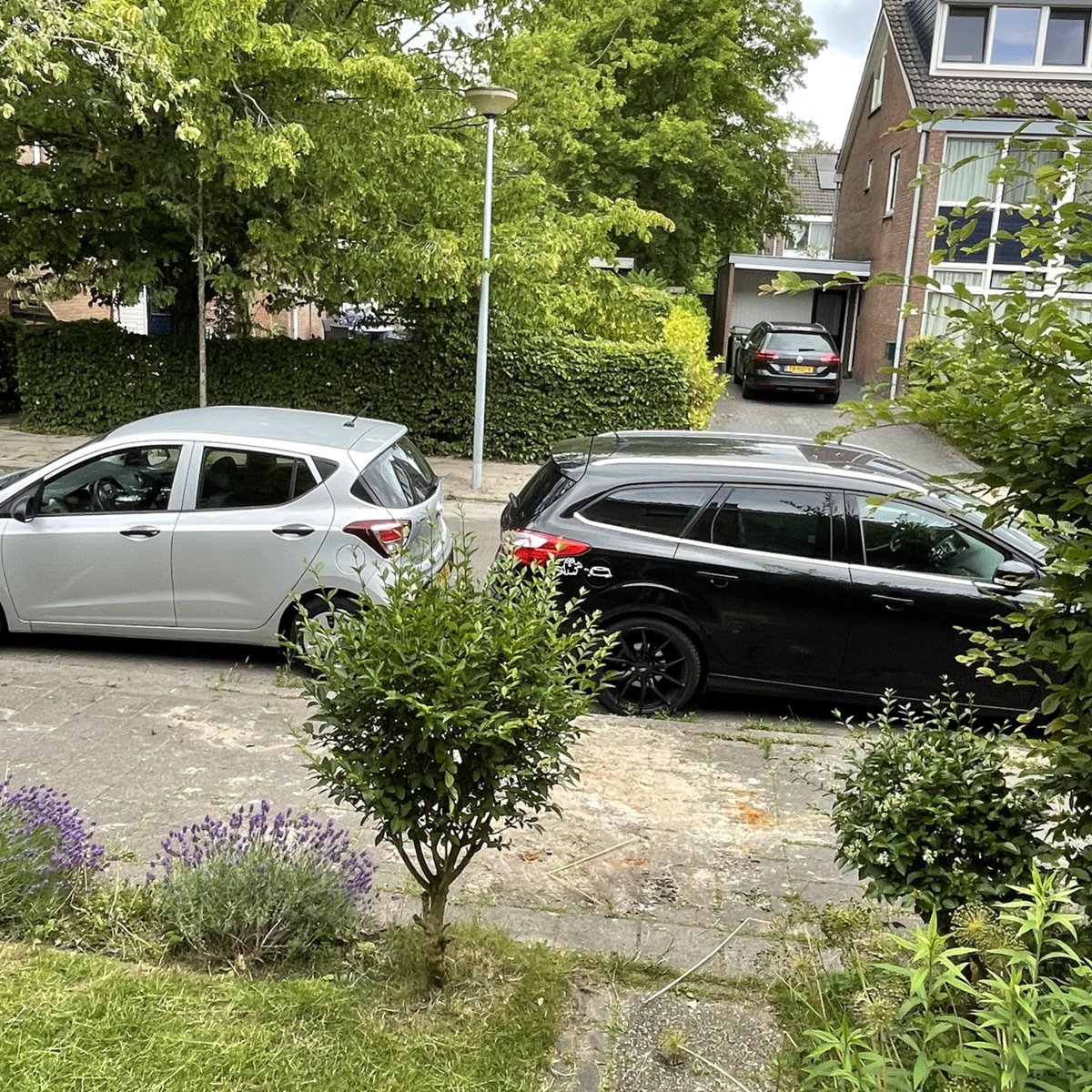 ze hebben ons de lantaarnpaal uit de stoep ropt en aan de overkant gezet waren we soms niet goed genoeg ofzo <a href="/gem_groningen/">Gemeente Groningen</a>