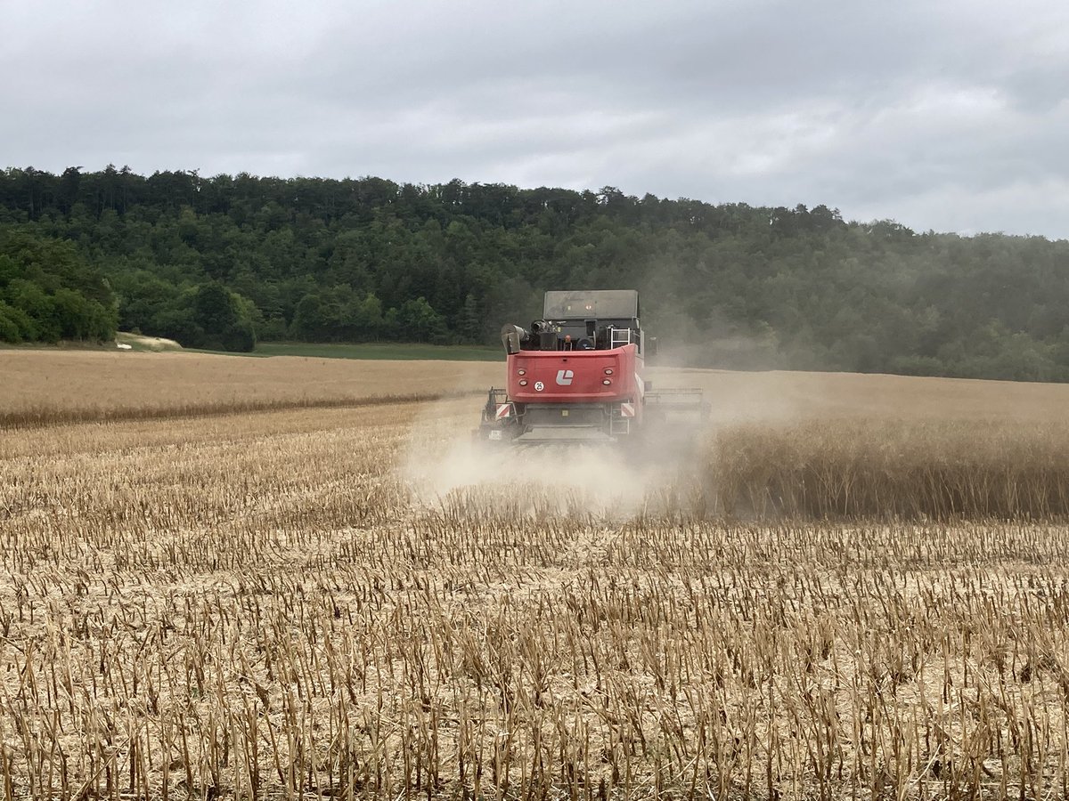 bigard_q's tweet image. C’est parti pour les #Colza2023 ! #Moisson2023 #FrAgTw 🌼🌼😎