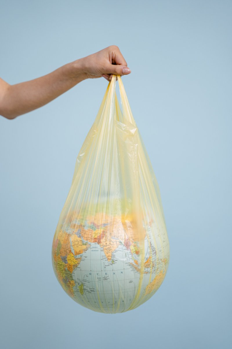 Journée Mondiale sans sac plastique🛍️

À Monaco, depuis juin 2016, les sacs de caisse en matière plastique à usage unique sont interdits.