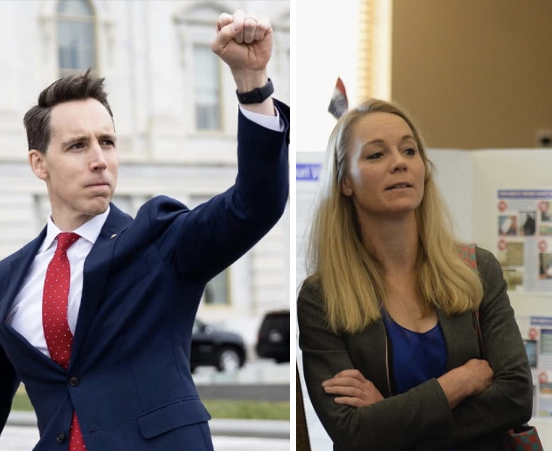 Jo🌻 on Twitter: "Is anyone at all surprised that fist pumper Josh Hawley's wife, Erin Hawley
